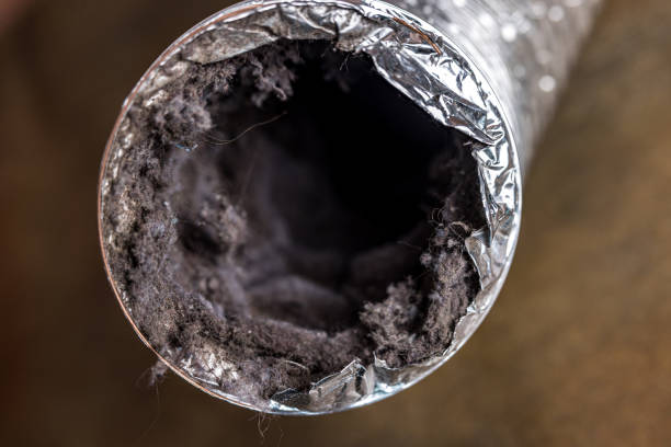 Best Dryer Vent Cleaning Services  in Des Moines, WA